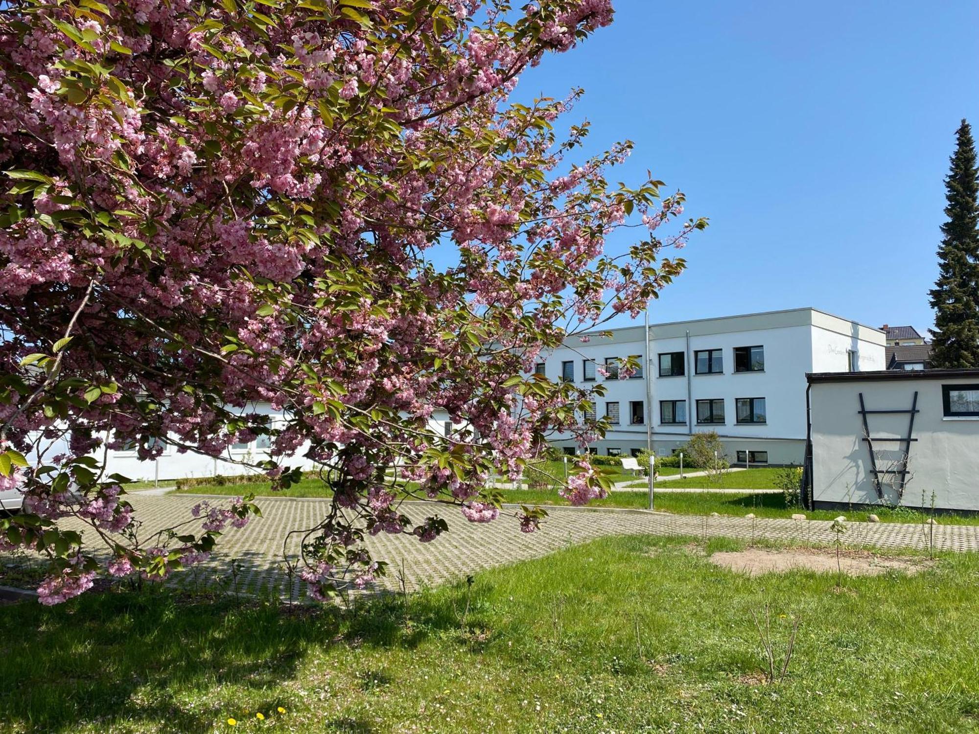 Apartment-Ferientiet Bergen Auf Rugen Buitenkant foto